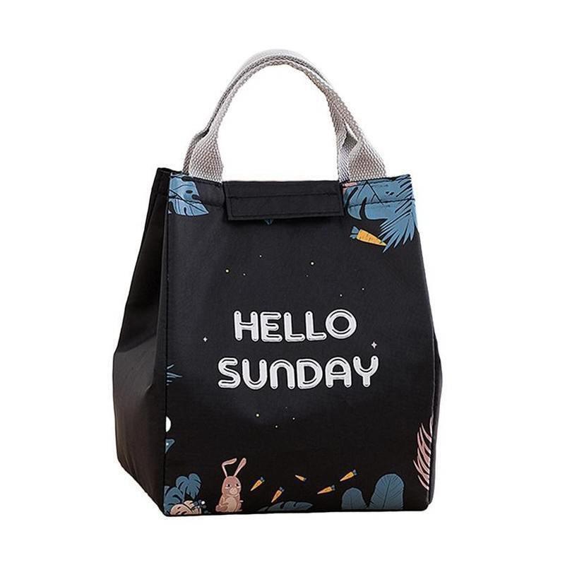 Portable Insulated Thermal Lunch Box Carry Tote Picnic Case Storage Bag 18x24x15cm - E06 (18x24x15cm)