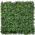 Laurel Hedge Panels UV Resistant 1m X 1m