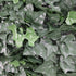 Boston Ivy Leaf Screen Green Wall Panel UV Resistant 1m x 1m