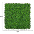 Luxury Deluxe Buxus (Bright) Hedge Panels UV Resistant 1m X 1m