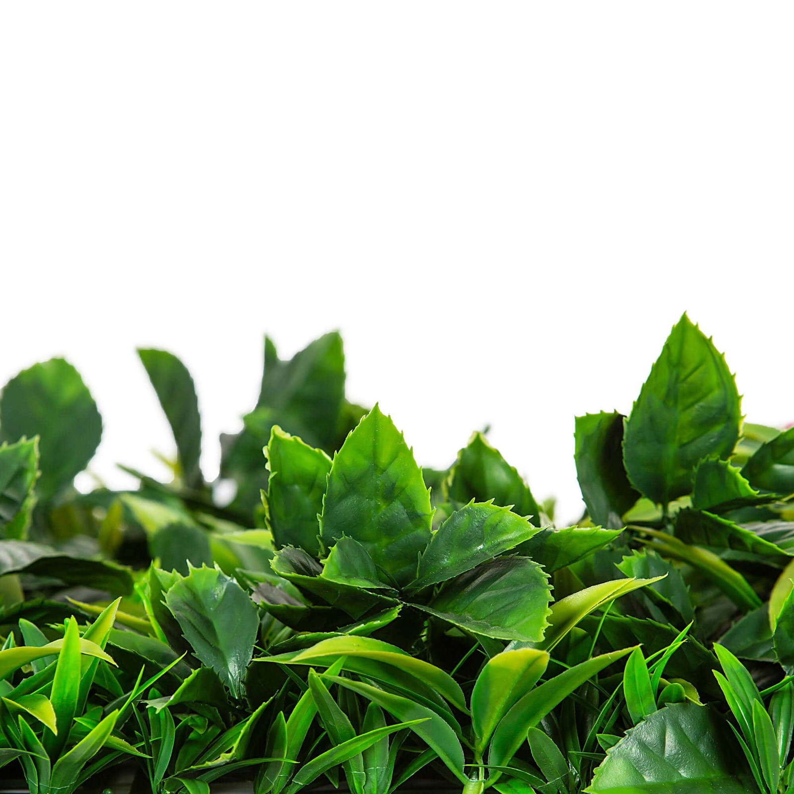 Native Tea Tree Vertical Garden / Green Wall UV Resistant 100cm X 100cm